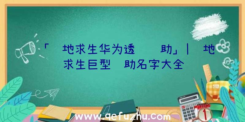 「绝地求生华为透视辅助」|绝地求生巨型辅助名字大全